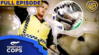 Sniffer dog finds drugs secretly hidden in groceries at Darwin Airport  Territory Cops S01E04 [upl. by Aelem]