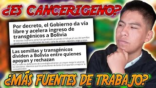 TRANSGÉNICOS EN BOLIVIA  Beneficios y Consecuencias [upl. by Lawtun655]