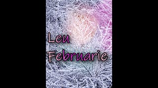 Tarot zodia leu februarie 2024 Sanatate bani dragoste [upl. by Aw]