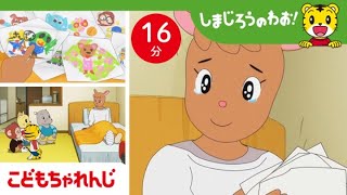 【16分アニメ】せんせいが ケガ しちゃった！ みんなでお見舞い  思いやり  しまじろうのわお！アニメ  しまじろうチャンネル公式 [upl. by Nalid414]