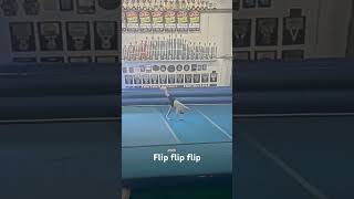 Flip flip flip flyer dance flyer flip newsmyrnabeach tumbler shortsvideo shortvideo cheers [upl. by Ima]