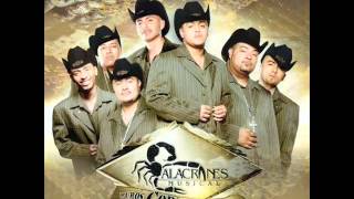 Alacranes Musical 500 Balazos [upl. by Yleik]