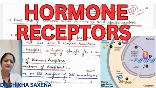 Hormone receptors Location Specificity Up regulation down regulation [upl. by Silvain]