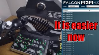 Falcon BMS Tutorial 2024  Setup Controls FAST and EASY [upl. by Eednim611]