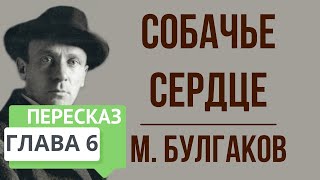 Собачье сердце 6 глава Краткое содержание [upl. by Nywled]