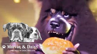 SCRUMPTIOUS TREATS Marvin amp Daisy Dog Treats [upl. by Atila]