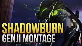 ShaDowBurn  GOD Genji Montage  Overwatch Montage [upl. by Barcot907]