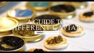 A Guide to Different Types of Premium Caviars  Drogos Kitchen  Fine Food Specialist [upl. by Annayoj881]