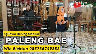 PALENG BAE  MARVEY KAYA  Elekton Madiun [upl. by Nairad226]