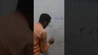 Pathophysiology for Nurses science chemistry class neet nursinglecturewithimtiaz immunesystem [upl. by Nava]