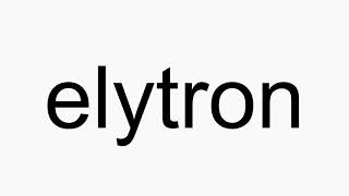 How to pronounce elytron [upl. by Genaro81]