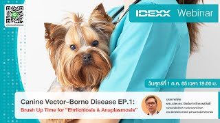 IDEXX Webinar Canine Vectorborne Disease EP1 Brush Up Time for quotEhrlichiosis amp Anaplasmosisquot [upl. by Anoed]