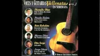 Beto Zabaleta  03 Déjenme Quererla Voces y Guitarras Vallenatas Vol 1 [upl. by Faruq497]