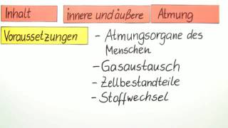 INNERE UND ÄUßERE ATMUNG  Biologie  Biologie des Menschen Mittelstufe [upl. by Seltzer]