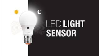 Lamptan LED Light Sensor รุ่นเปิดเองตอนกลางคืน ปิดเองตอนกลางวัน Demonstration [upl. by Darrick]