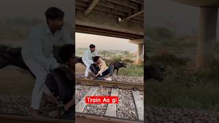 Train wale 🤨🤨😝 Dont miss end [upl. by Im]