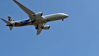 PLANES FLYING OVER BROOKVILLE PARK ABOUT TO LAND AT JFK AIRPORT [upl. by Arramas636]