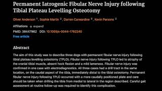 Permanent Iatrogenic Fibular Nerve Injury following Tibial Plateau Levelling Osteotomy [upl. by Oironoh744]