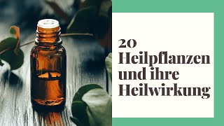 20 Heilpflanzen und ihre Heilwirkung [upl. by Werbel]