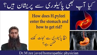 How does H Pylori enter the stomach and how to get rid [upl. by Fillbert]