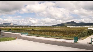 Proceso de exportación del vino [upl. by Eng106]