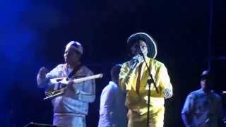 garance reggae festival 2014 jah shaka on stage part 2 [upl. by Aneloc]