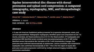 14 Equine intervertebral disc disease with dorsal protrusion and spinal cord compression [upl. by Enitnelav]