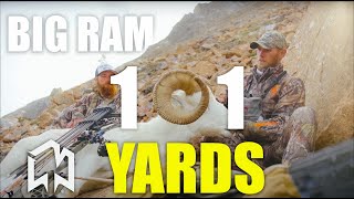 101 yard shot on a BIG RAM [upl. by Airat]