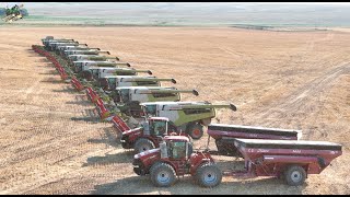 Colorado Wheat Harvest 2024 with 12 Claas Lexion Combines [upl. by Nylarahs]