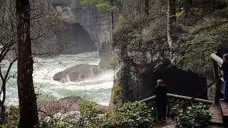 Cape Flattery WA [upl. by Nitas]