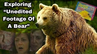 Exploring “Unedited Footage Of A Bear” [upl. by Yreved163]