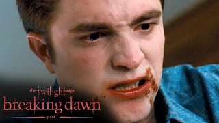 Edward Does Everything to Save Bella Scene  The Twilight Saga Breaking Dawn  Part 1 [upl. by Arin]