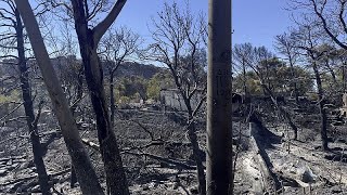 Attika nach dem großen Feuer ein Bild der Verwüstung [upl. by Alabaster585]