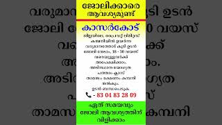 kerala jobs 2024 todays job malayalam jobs December 11 [upl. by Aibat]