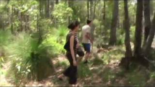 Drop Bear Attack Caught on Film  New Zealander Mauled [upl. by Seale]