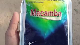 Macamba Fungicide Carbendazim 12  Mancozeb 13 WP [upl. by Letney]