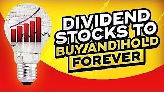 20 Dividend Stocks To Buy And Hold Forever  Dividend Investing amp Cashflow [upl. by Fenton368]