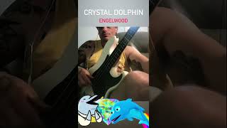 Crystal Dolphin  Engelwood Bass Cover [upl. by Arahk4]