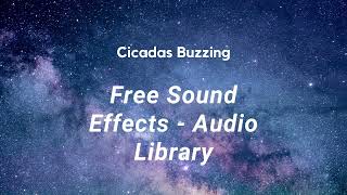 Cicadas Buzzing Sound Effects [upl. by Adnamaa]