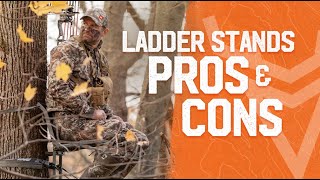 Pros and Cons of Ladder Stands for Deer Hunting  Wired To Hunt [upl. by Suaeddaht435]