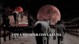 Voy a brindar con la luna  Joseito Oviedo [upl. by Durstin]