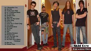 Skid Row Greatest Hits Best Songs Of Skid Row Full Album 2019 [upl. by Aicsila]