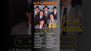 María Elena  Los Caminante Grandes Exitos shorts musica loscaminates albumnuevo viejitas [upl. by Hairahs]