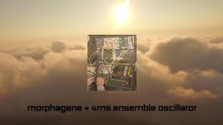 Morphagene  4ms Ensemble Oscillater modularsynth experimentalmusic eurorack ambient synthesis [upl. by Akiv]