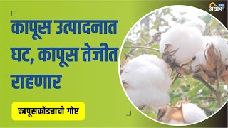 देशातील Cotton Production Estimate मध्ये कापत  Cotton Production India  Agrowon [upl. by Anelaf658]