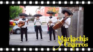 MARIACHIS A DOMICILIO  MARIACHIS Y CHARROS CALICANTO  CUMPLEAÑOS FELIZ [upl. by Raffarty]