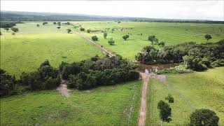 FAZENDA À VENDA ARAGUAÍNATO [upl. by Meggs]