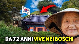 Vivere come eremiti a 15km da Seoul  Corea [upl. by Hitt]