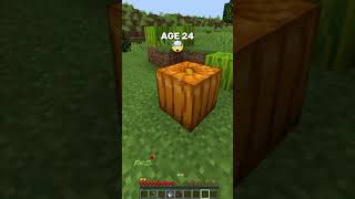 Smallest Bases At Every Ages In Minecraft 🌞❤️ tgfguy minecraft [upl. by Deny]