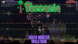 Terraria Calamity Mod Master Mode Death Skeletron Fight [upl. by Abby]